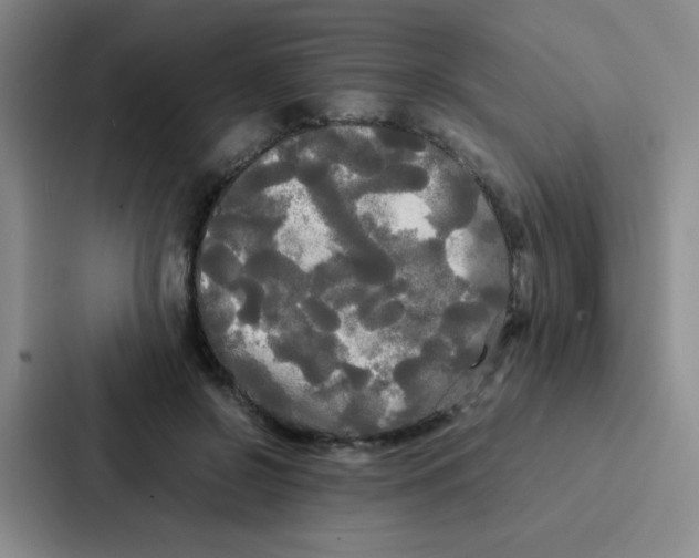 X0000086920550200705141724