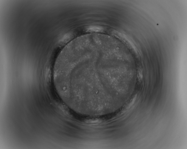 X0000086920551200705141724