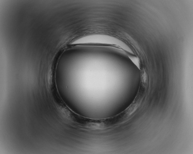 X0000086920552200705141724