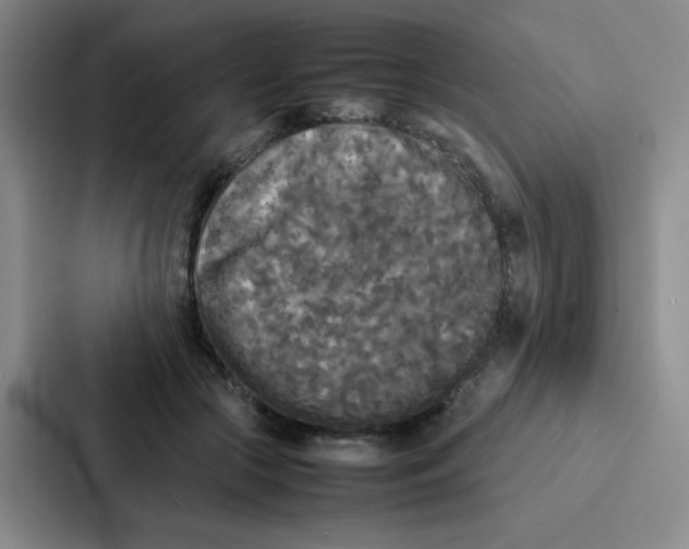 X0000086920553200705141724