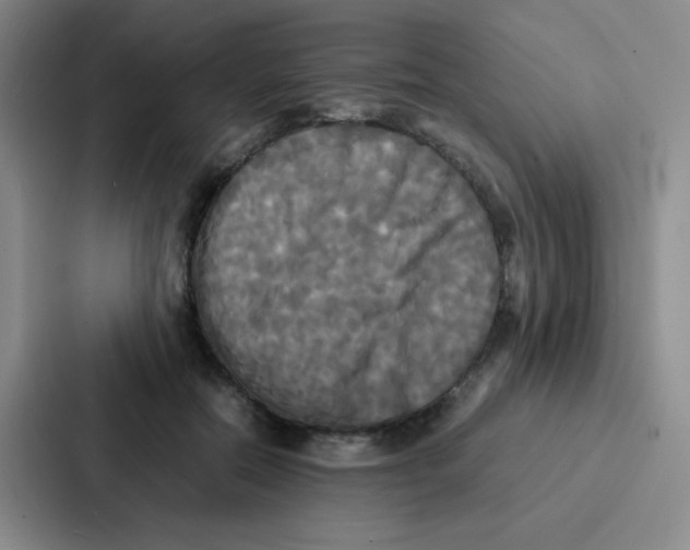X0000086920554200705141724