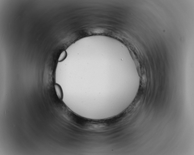 X0000086920555200705141724