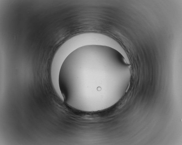 X0000086920556200705141724