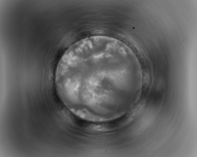 X0000086920557200705141724