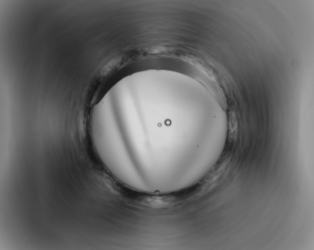 X0000086920558200705141724