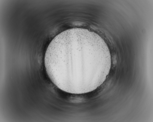 X0000086920559200705141724