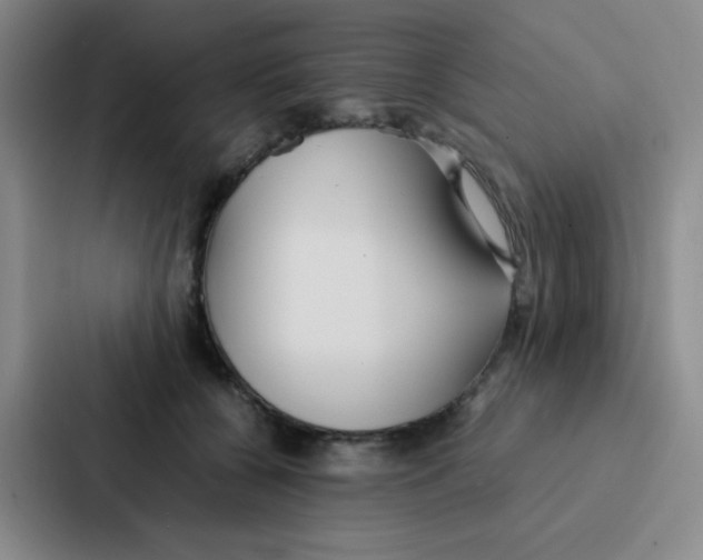 X0000086920560200705141724