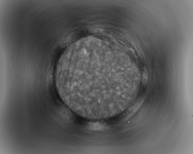 X0000086920561200705141724