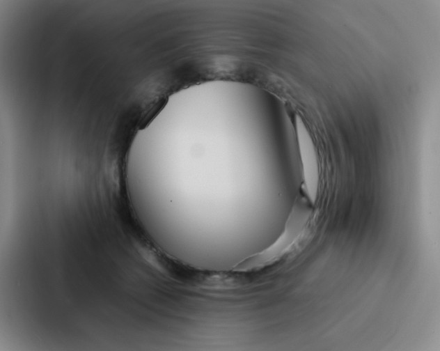 X0000086920562200705141724