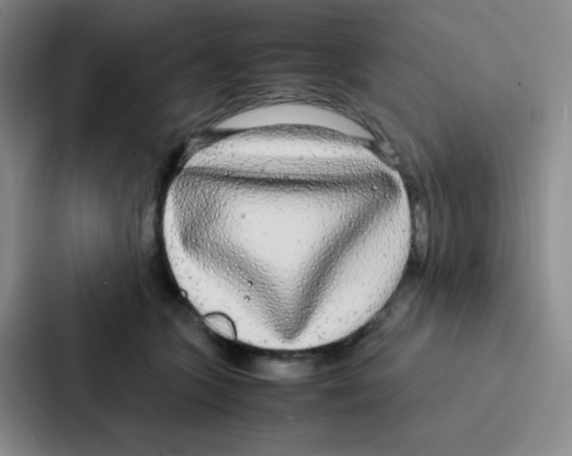 X0000086920563200705141724