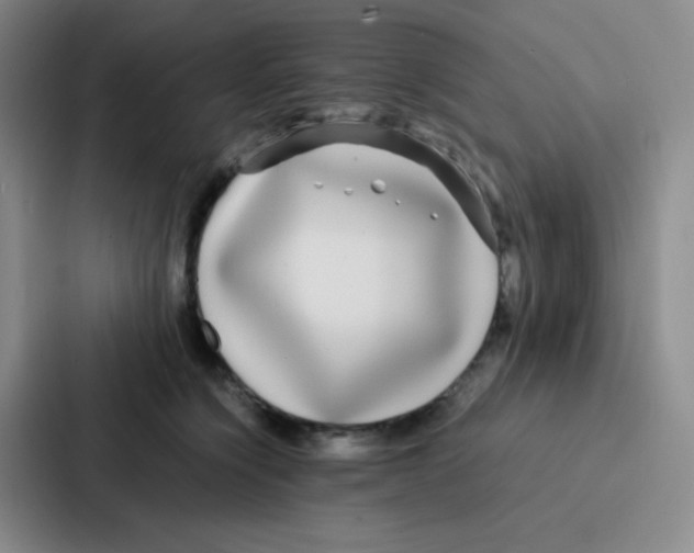 X0000086920564200705141724
