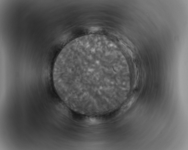 X0000086920565200705141724