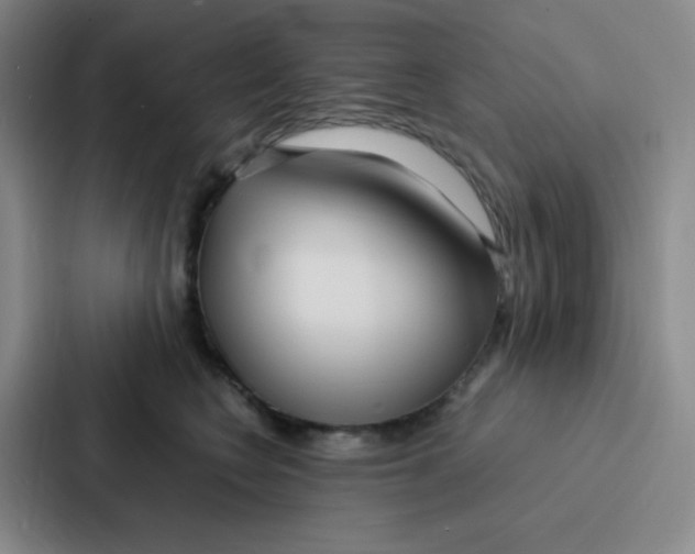 X0000086920566200705141725