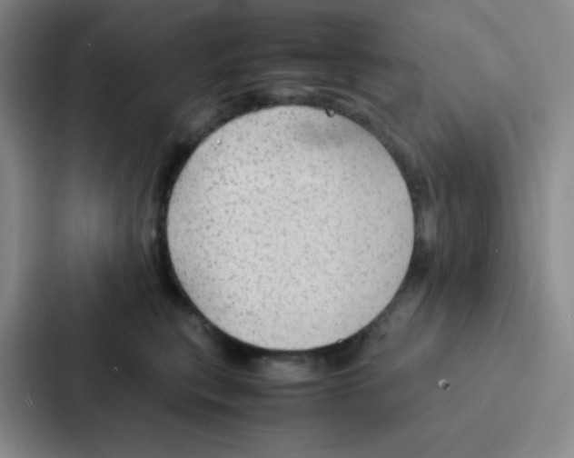 X0000086920567200705141725