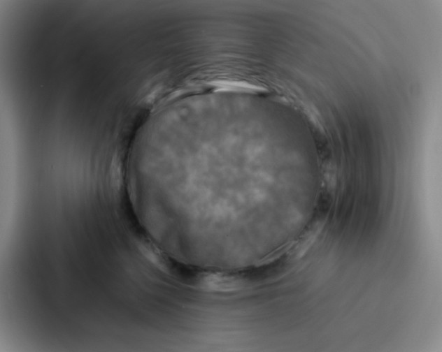 X0000086920568200705141725