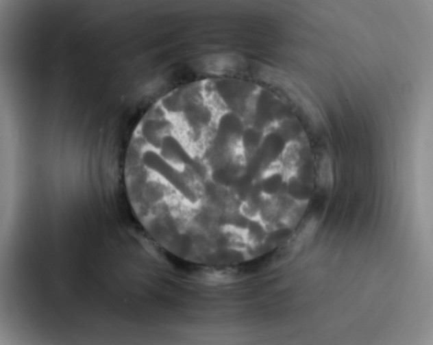 X0000086920569200705141725