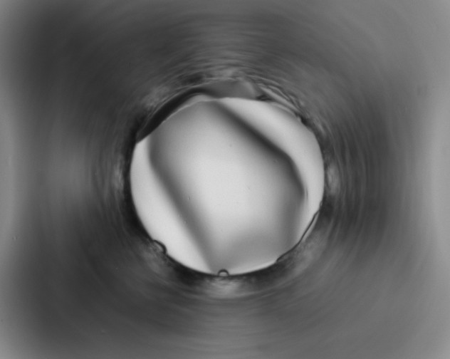 X0000086920570200705141725