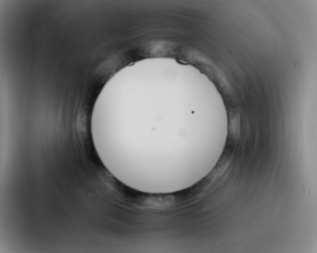 X0000086920571200705141725