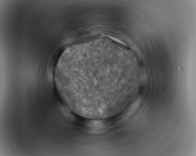 X0000086920573200705141725