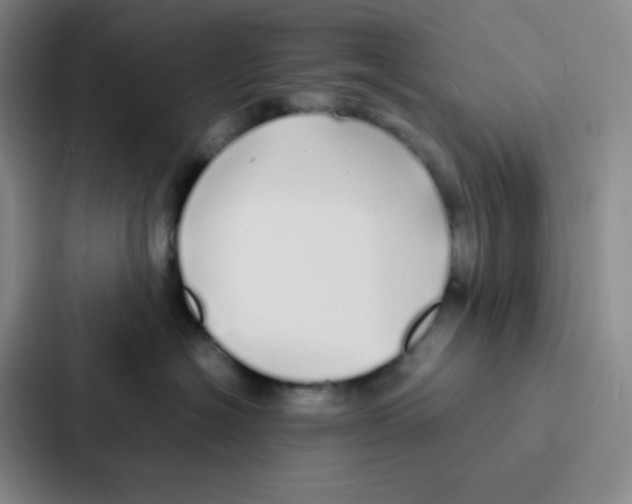 X0000086920574200705141725
