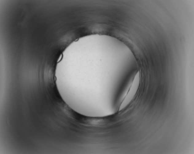 X0000086920575200705141725