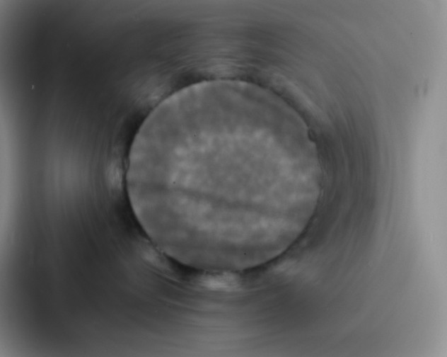 X0000086920576200705141725