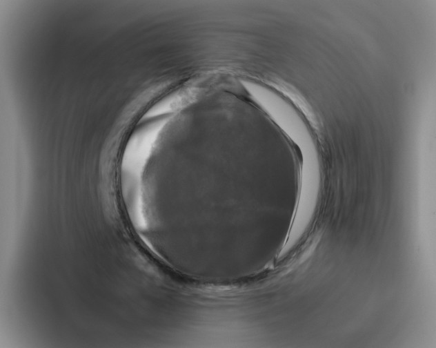 X0000086920577200705141724