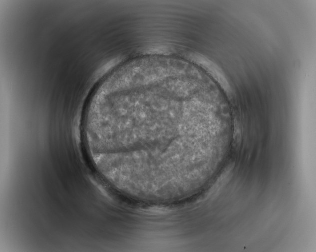 X0000086920578200705141724