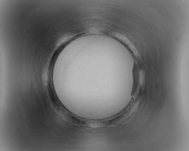 X0000086920579200705141724