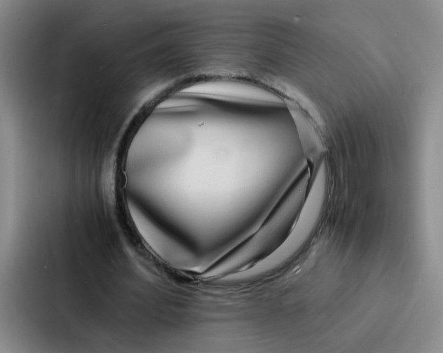 X0000086920580200705141724