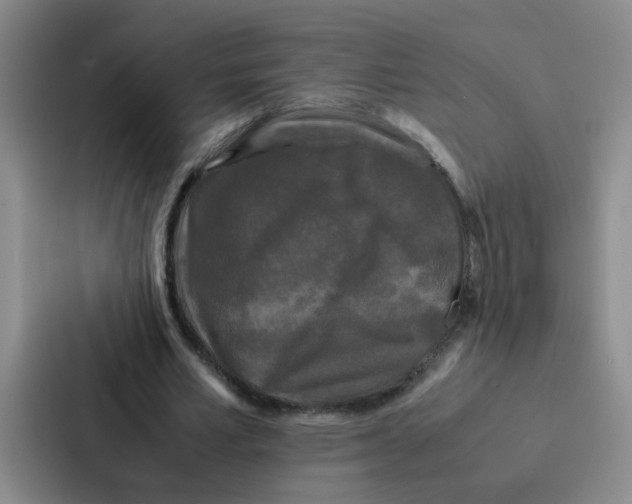 X0000086920581200705141724