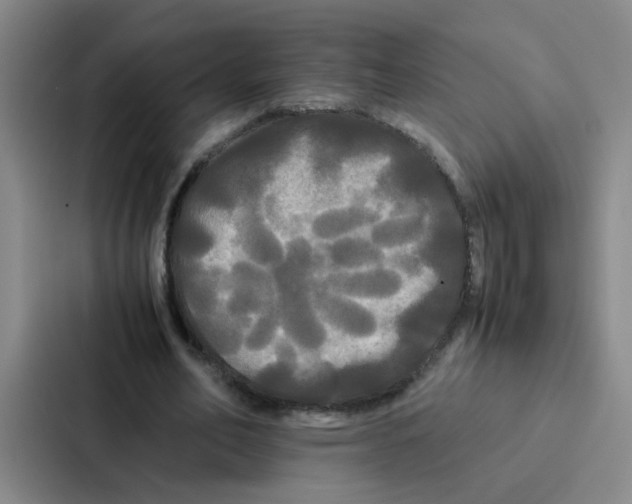 X0000086920582200705141724