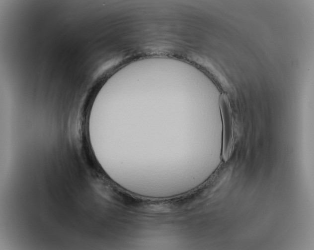 X0000086920583200705141724