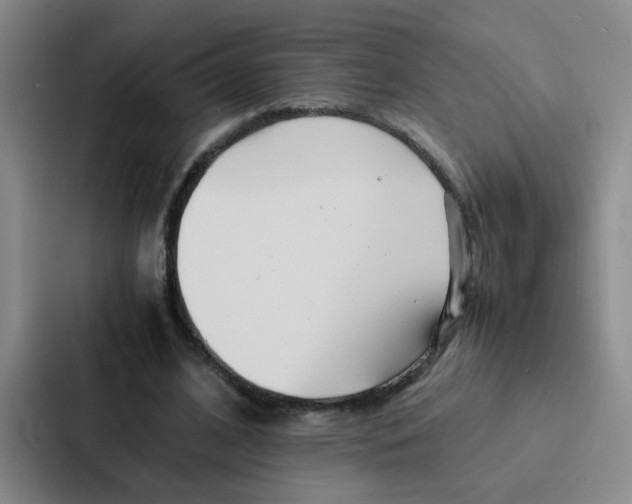 X0000086920584200705141724
