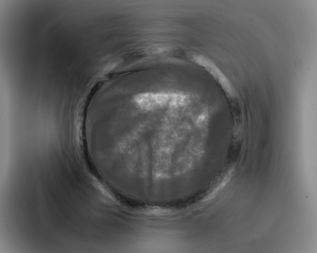 X0000086920585200705141724