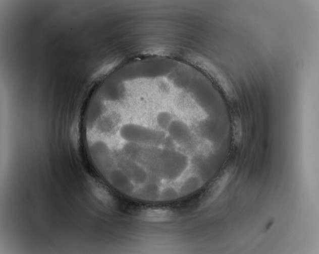 X0000086920586200705141724