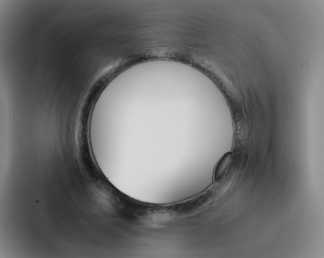 X0000086920587200705141724