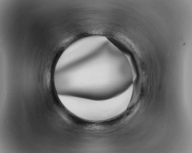 X0000086920589200705141724