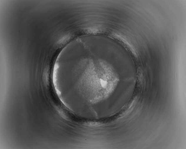 X0000086920590200705141724