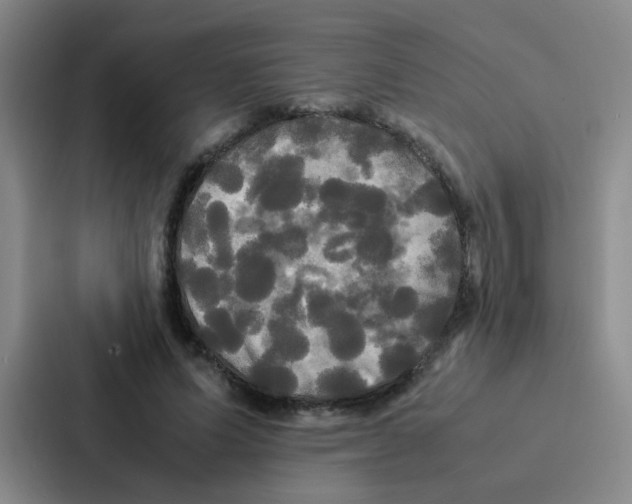 X0000086920591200705141724