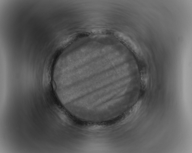 X0000086920593200705141724