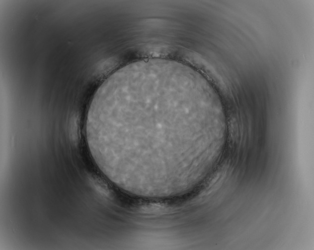 X0000086920594200705141724