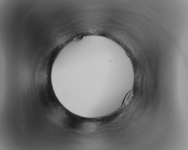 X0000086920595200705141724