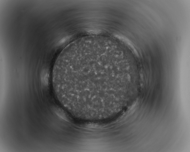 X0000086920596200705141724
