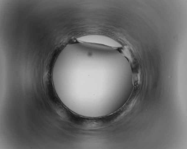 X0000086920597200705141724