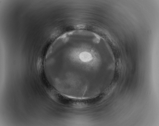 X0000086920598200705141724
