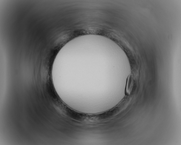 X0000086920599200705141724