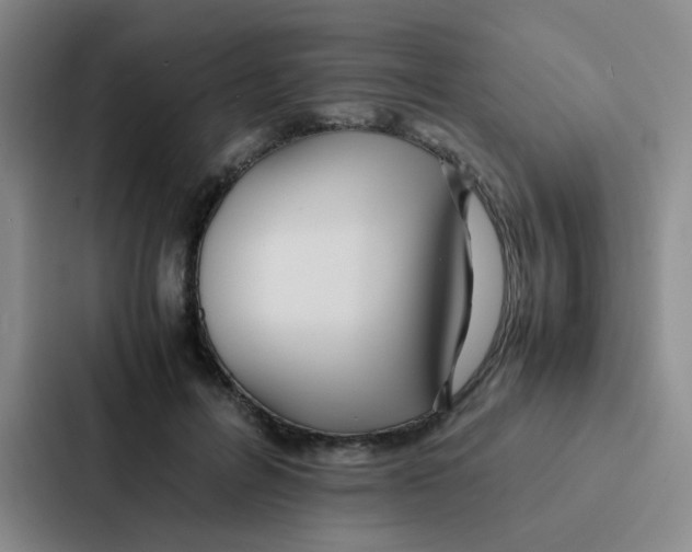 X0000086920600200705141724