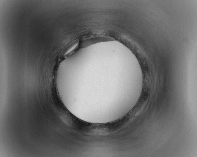 X0000086920601200705141724