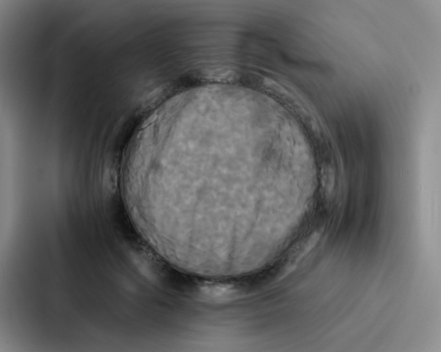 X0000086920602200705141724